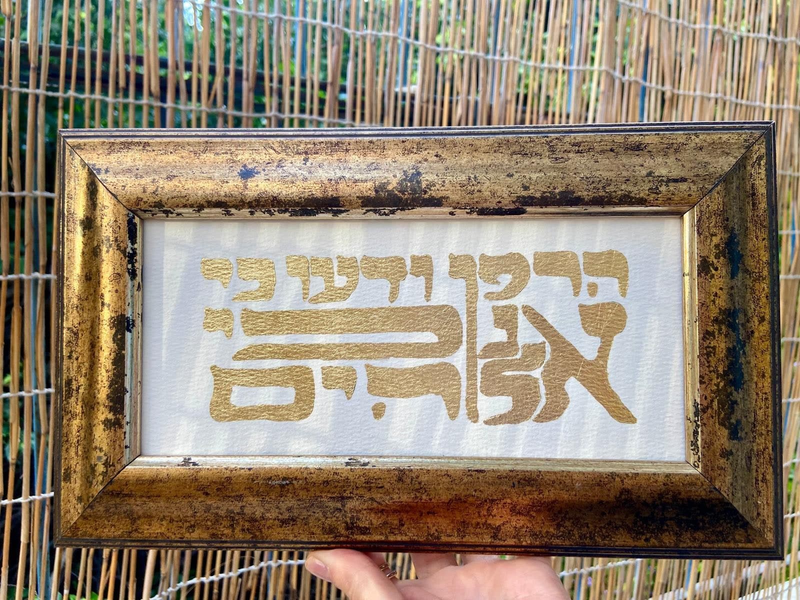 הרפו ודעו, זהב